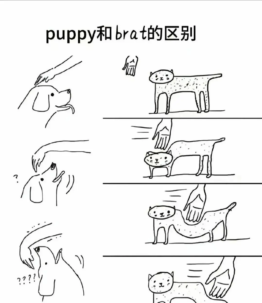 西檬之家-字母圈新人入圈指南