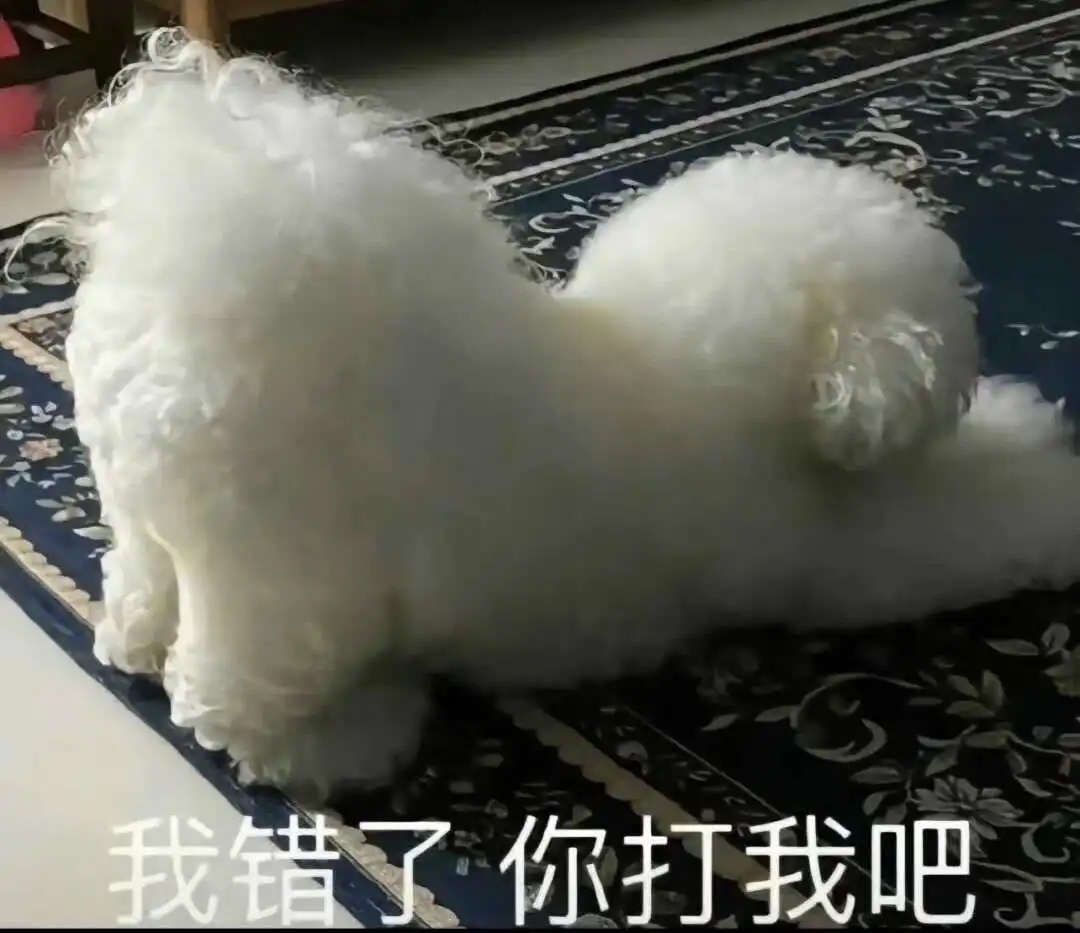 西檬之家-字母圈M受虐者指南