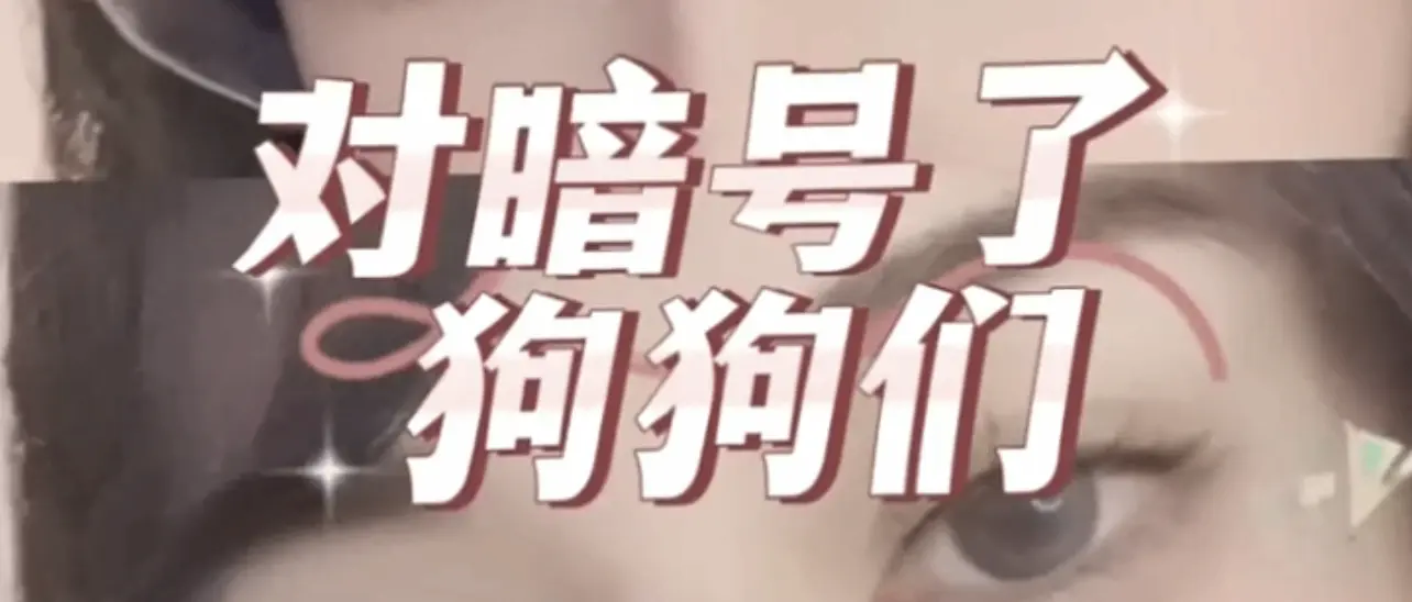 【西檬之家】OTK姿势解析：字母圈新人的SP入门指南