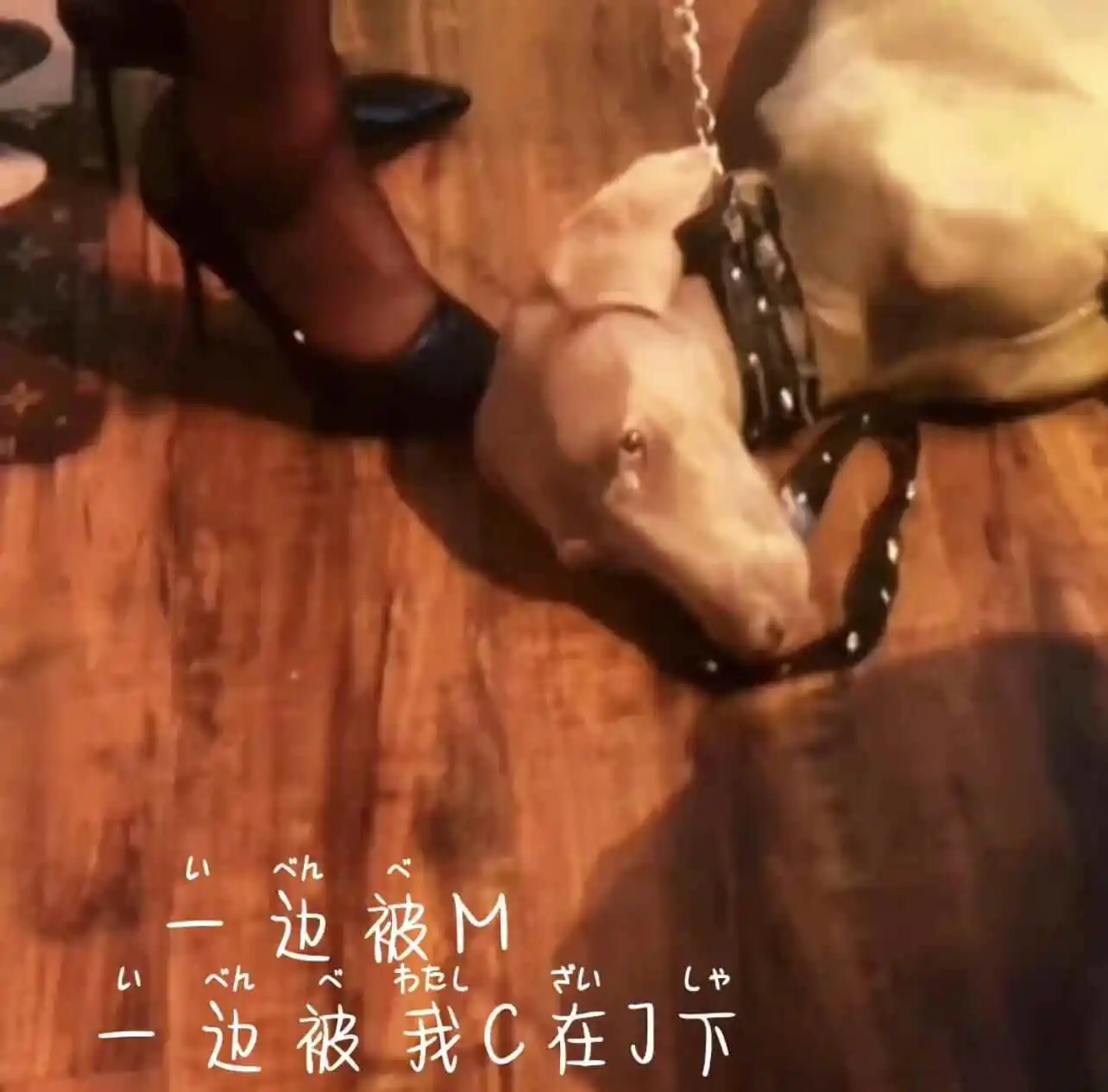 【西檬之家】字母圈新人入圈指南：从恋足偏好到BDSM安全实践