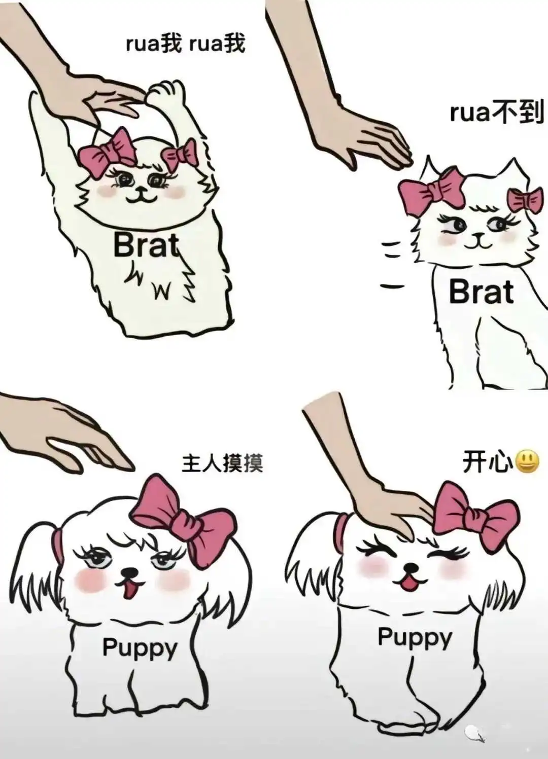 【西檬之家】Brat属性是什么？字母圈新人必读指南