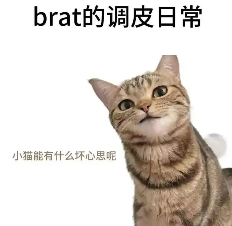 西檬之家-字母圈DDlg是什么？你的字母圈属性是什么？