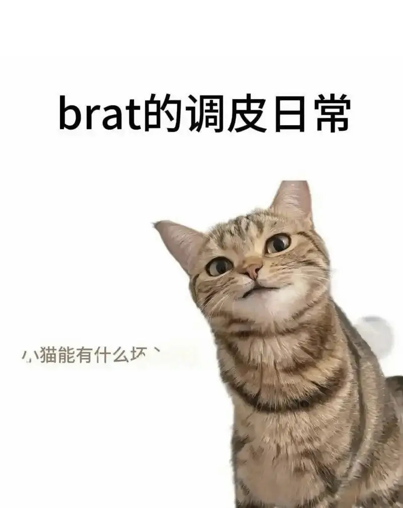 【西檬之家】BDSM入圈指南：从基础术语到核心原则